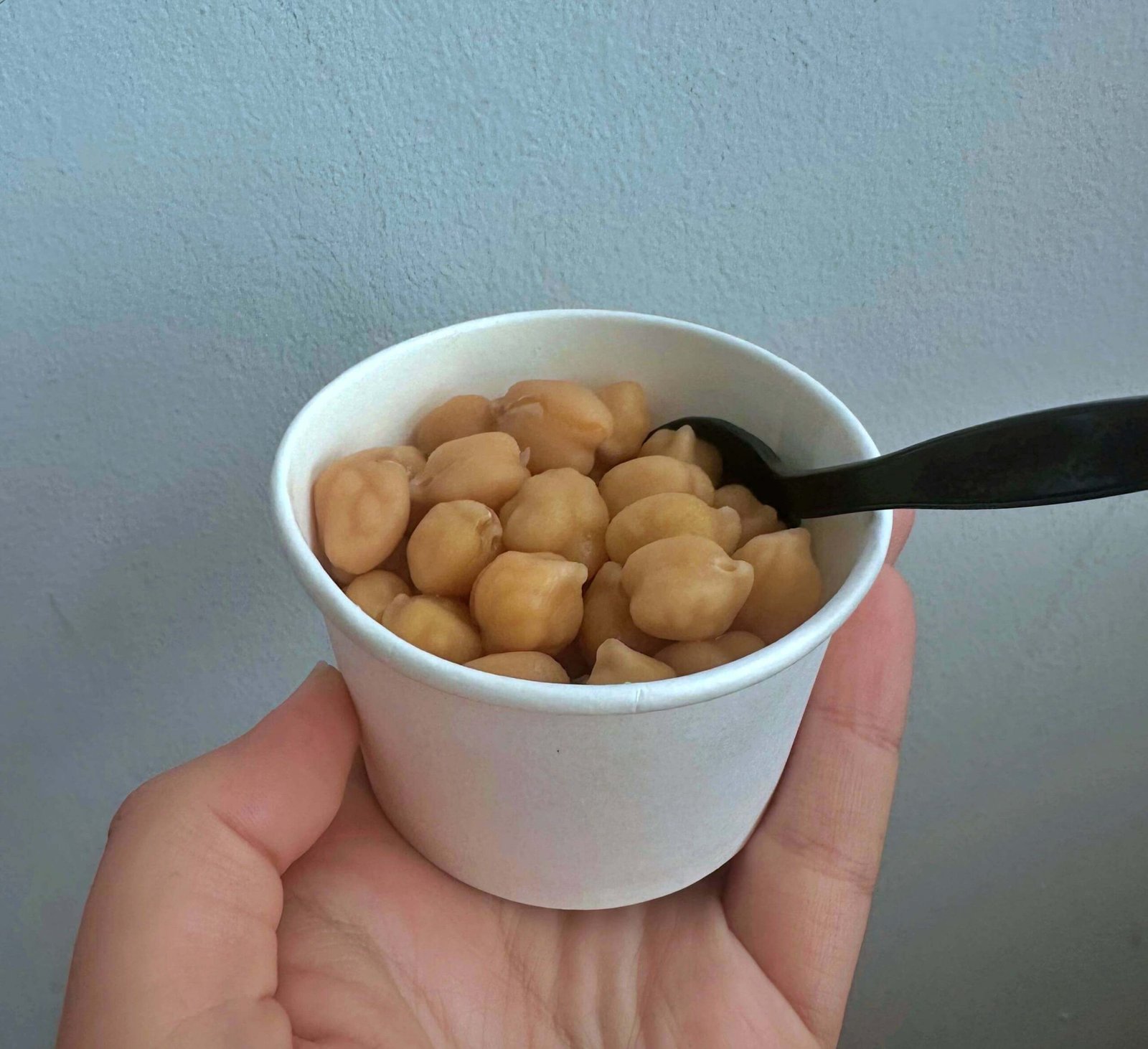Steamed Chickpeas live Station